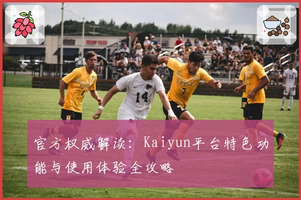 官方权威解读：Kaiyun平台特色功能与使用体验全攻略