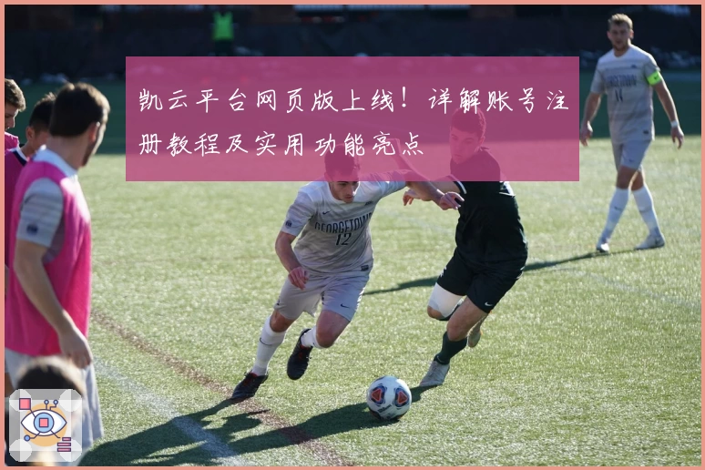 凯云平台网页版上线！详解账号注册教程及实用功能亮点